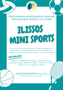 Mini sports