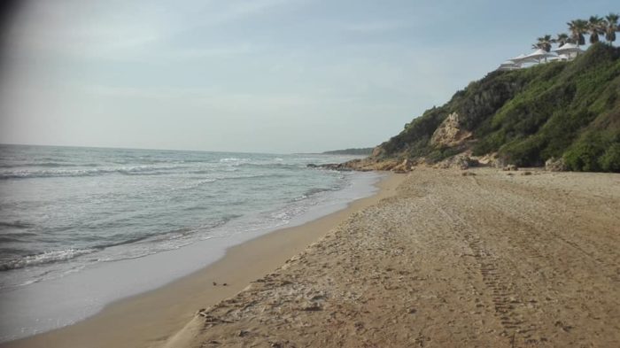 the beach