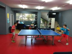 table tennis kids