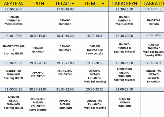 table tennis program