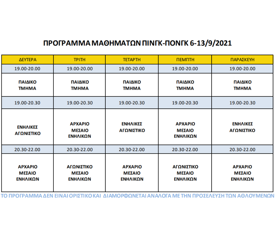 ping pong program